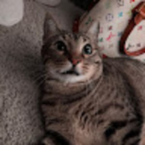 Meet your Posher, Vy